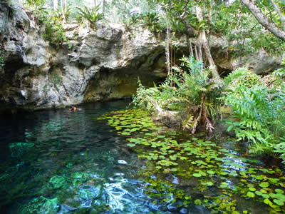 Grand Cenote, Mexican Caribbean
