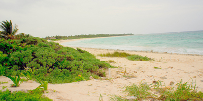 Playa Xcacel, Alrededores de Tulum