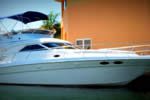 Polo Player, Luxury Yachts for Rent