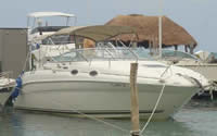 Sea Ray 26, Lanchas en Renta