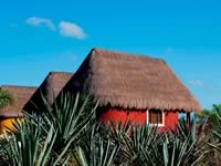 Tour Hacienda Sotuta de Peon, Sotuta de Peon,  Mérida Yucatan